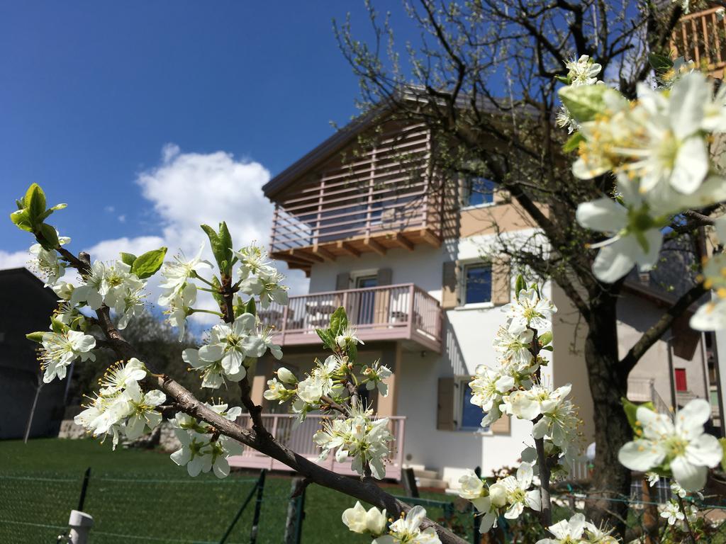 B&B Il Piccolo Principe Room And Breakfast Bieno  Bagian luar foto